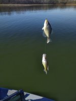 IMG_20201128_102424.jpg