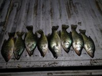 IMG_20201128_183051.jpg
