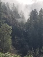 20201130_124851.jpg
