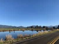 418F0387-9565-4ADD-94AF-1FD57F996D96.jpeg