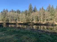 EA1CDBC1-221F-4E10-BD6A-ADCE2BE826ED.jpeg