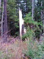 IMG_20201201_132747.jpg