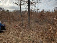 20201205_144923.jpg