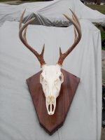 IMG_20201204_163611.jpg