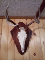 IMG_20201204_163604.jpg