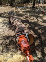 IMG_20200728_122958.jpg