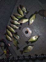 IMG_20201205_185254.jpg