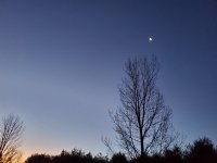 20201209_064737.jpg