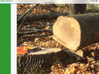 BC0E240D-0615-431B-B5DF-7F09F2C01AAD.png