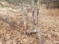 20201213_111109.jpg