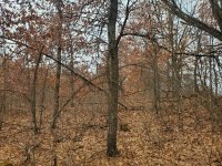 20201213_105936.jpg