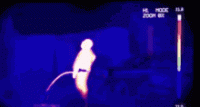 signal-2020-12-14-070012.gif