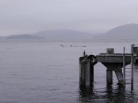 IMG_20201214_125830.jpg
