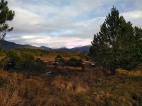 IMG_20201215_123855.jpg