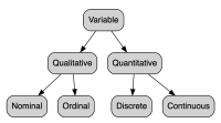 variable-types-and-examples.png