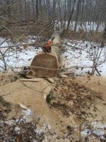 20201216_124642.jpg