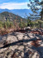 IMG_20201101_105544606_HDR.jpg