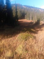 IMG_20201009_095314922.jpg