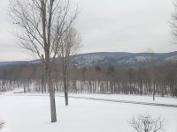20201220_125941.jpg