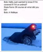 FB_IMG_1608620189120.jpg