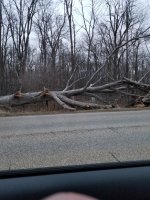 20201223_165748.jpg