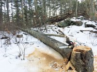 StormDamage-1.jpg