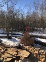 2056F702-EADD-467A-B310-E0597B3AE902.jpeg