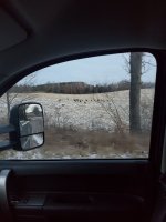 20201224_072338.jpg