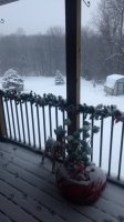 IMG_20201225_074011014.jpg