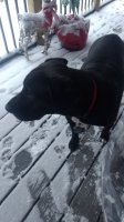 IMG_20201225_074235134.jpg
