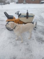 IMG_20201225_091344998.jpg