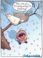 user41978_pic2476_1228715620-Funny-christmas-comics-counting-down-to-xmas-2-s318x432-269929-1020.jpg