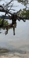 tenor (3).gif