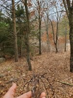 20201226_125125.jpg