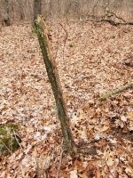 20201227_110049.jpg