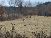 20201226_134447.jpg