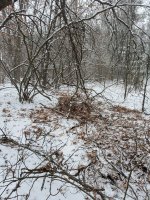 20201227_144330.jpg