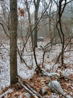 20201227_124509.jpg