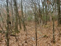 20201227_121624.jpg