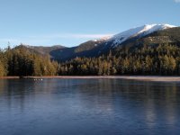 IMG_20201227_130856.jpg