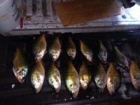 IMG_20201226_190821.jpg
