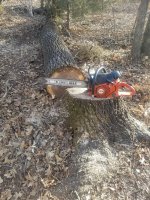 20201227_093034.jpg