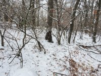 20201227_144459.jpg