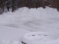 IMG_20201230_104805661.jpg
