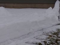 IMG_20201230_104732298.jpg