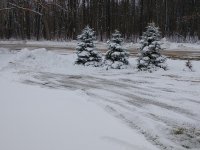 IMG_20201230_104652943.jpg
