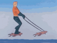 tenor.gif