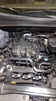 IMG_20210101_181455464.jpg
