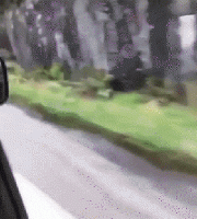 0632A3AE-3F0D-4BDE-BB2C-94FF5DEE0766.gif