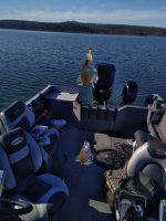IMG_20210103_115629.jpg